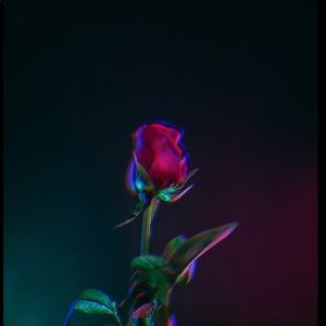 Meet your Posher, Deann